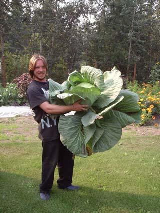 01 don and giant cabbage.jpg