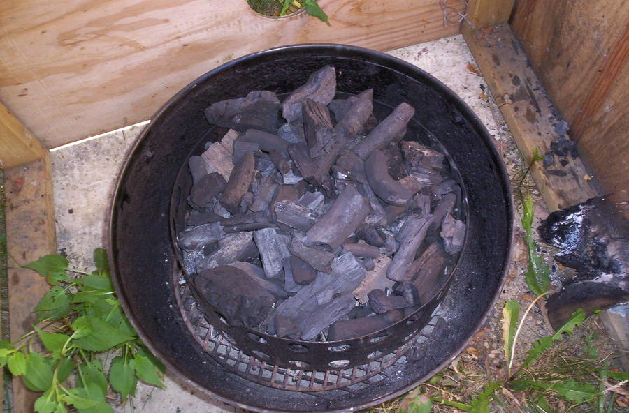 010.JPG