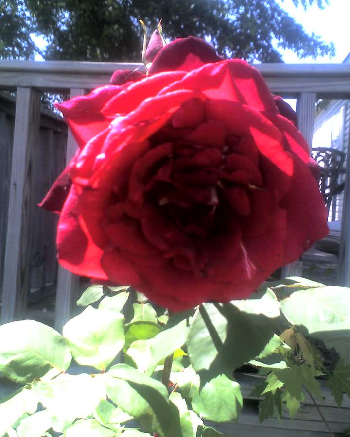 05-03-10_1400.jpg