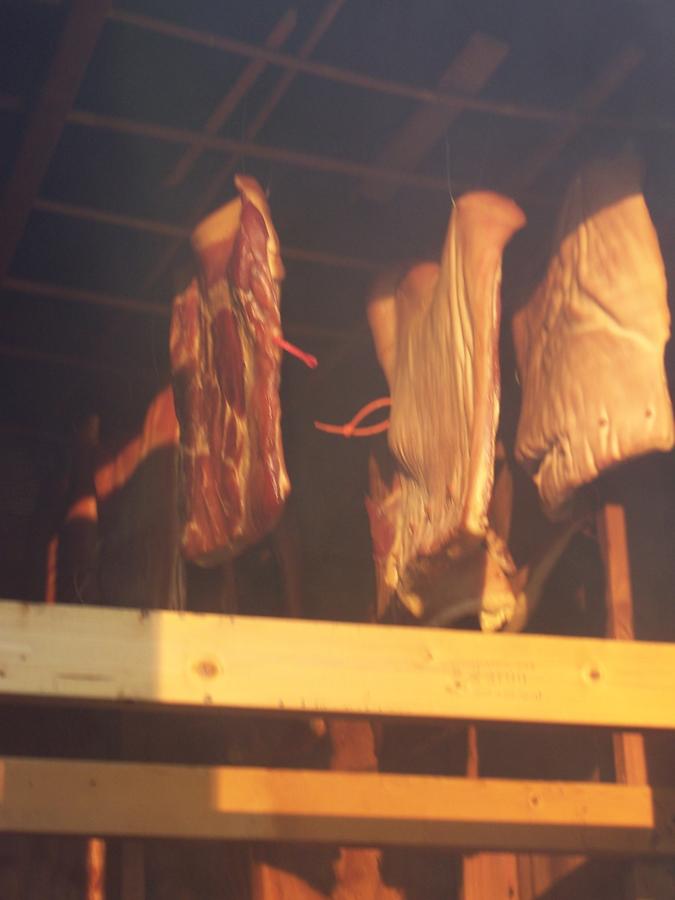 06.jpg