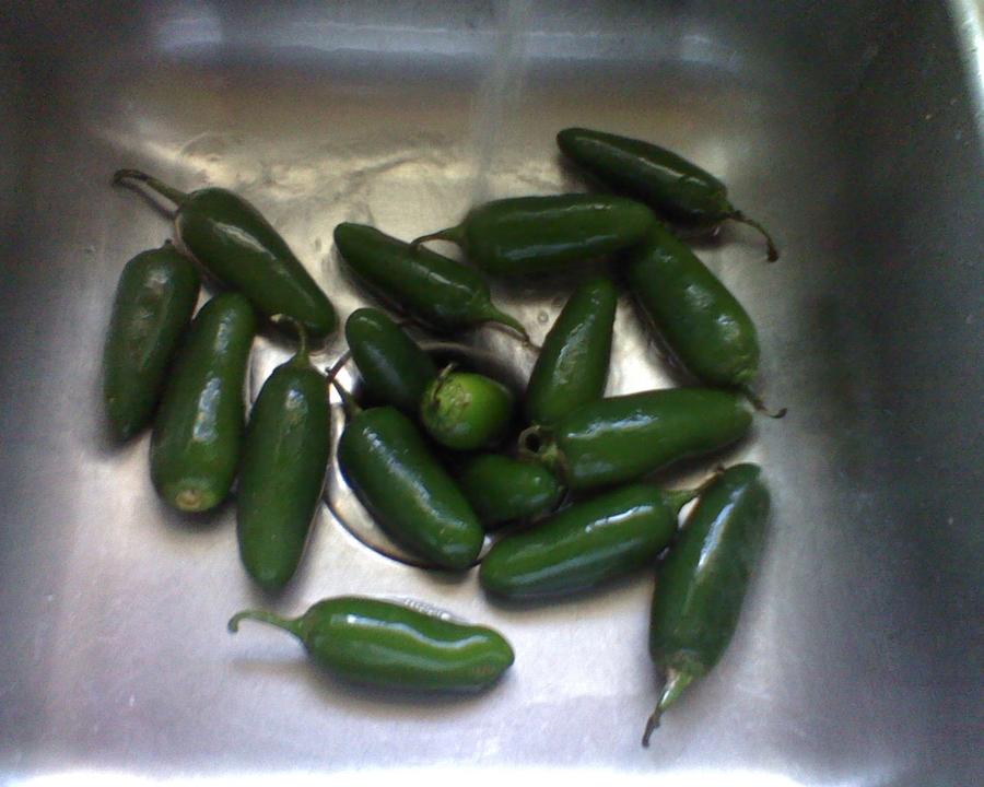 0702111411a.jpg