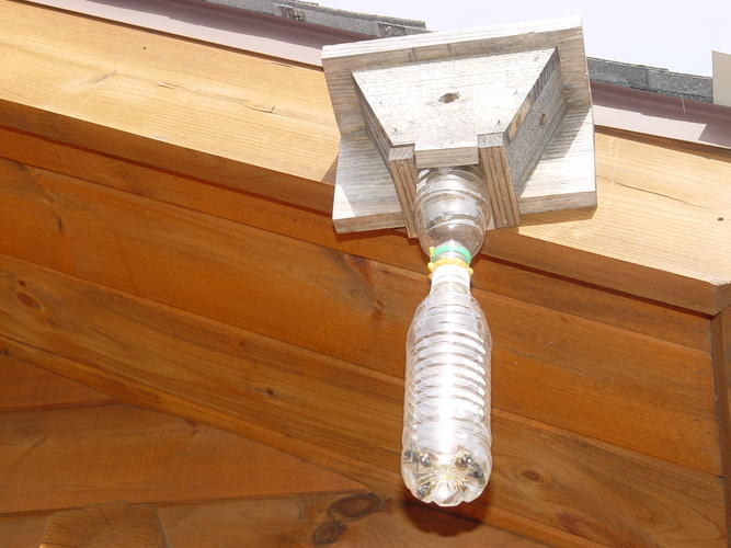 1000x500px-LL-da766667_DSC02180.JPG