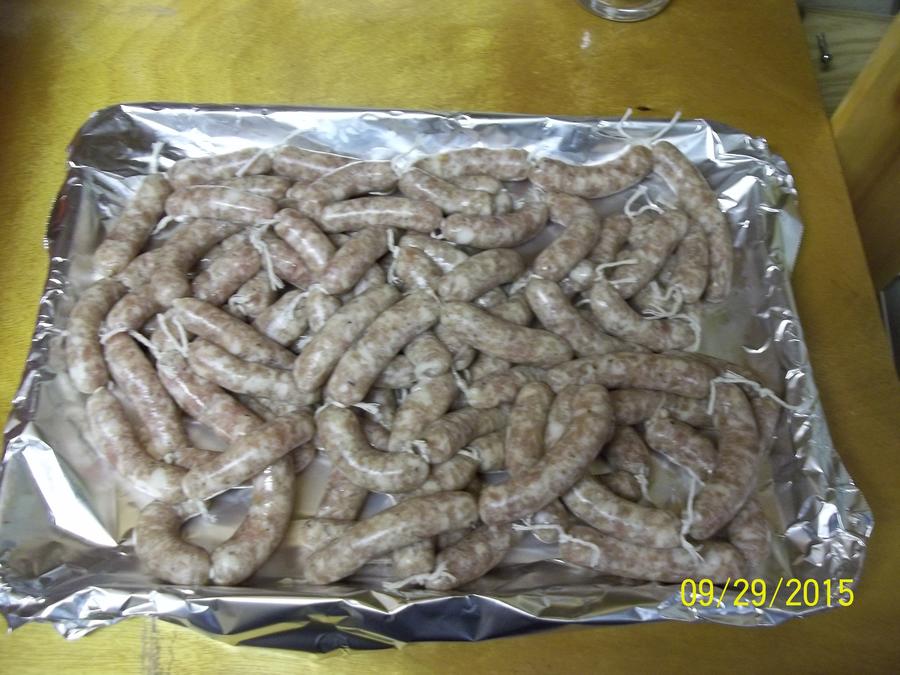 100_2871.JPG