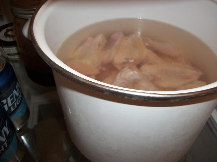 100_3233.jpg