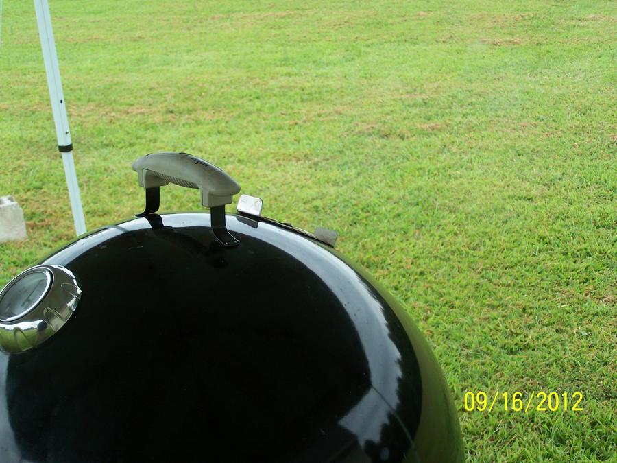 100_3955.JPG