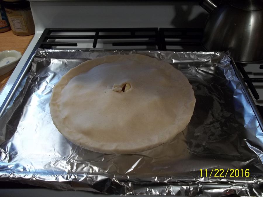 100_4927.JPG