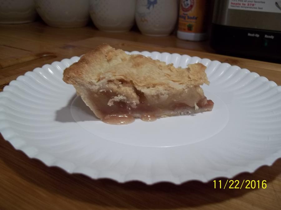 100_4929.JPG