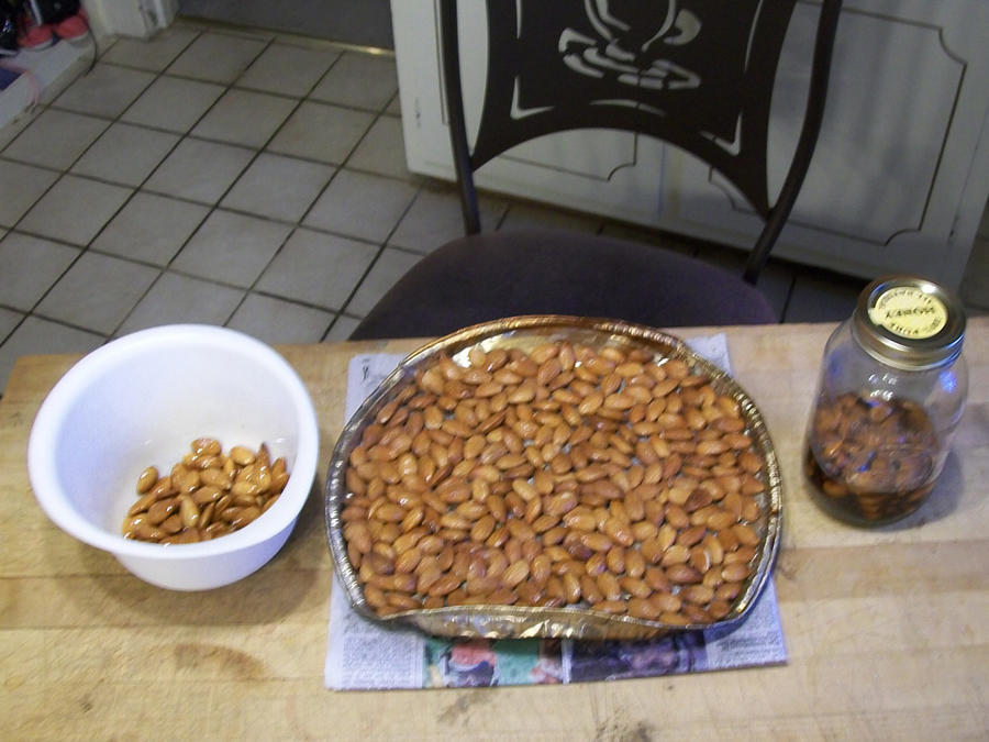 100_9053.JPG