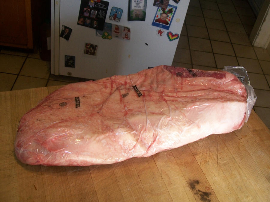 100_9372.JPG