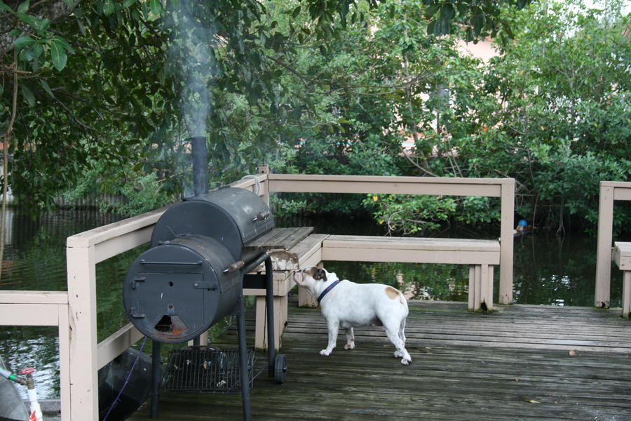 12  15  ribs 015.JPG