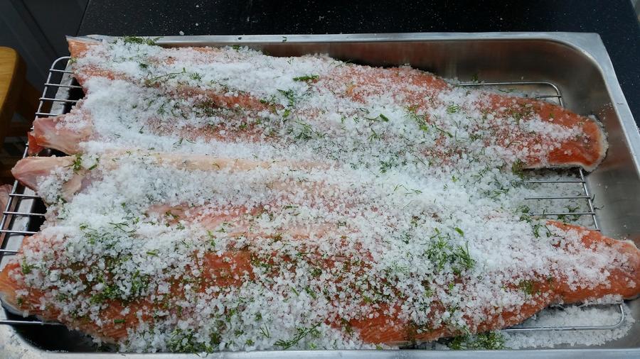 12 Cure and dill on top.jpg