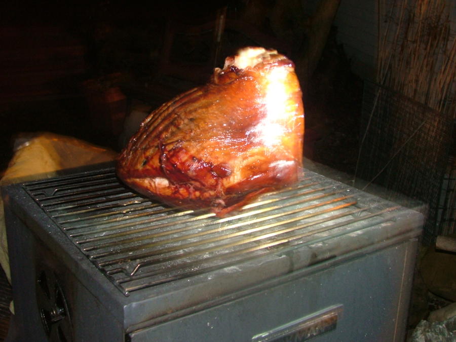 122111 ham2-4hrs.JPG