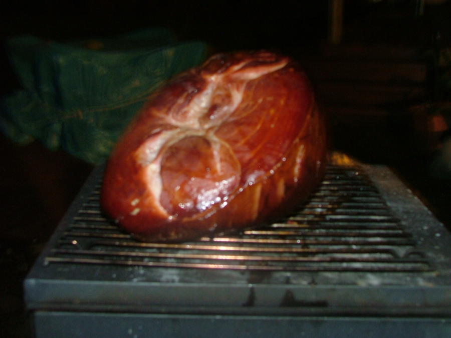 122111 ham3-4hrs.JPG