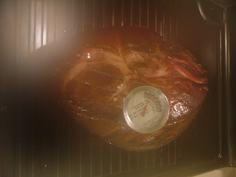 122111 ham4-6hrs.JPG