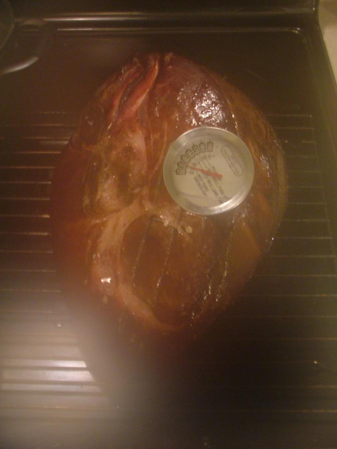 122111 ham4-6hrs.JPG