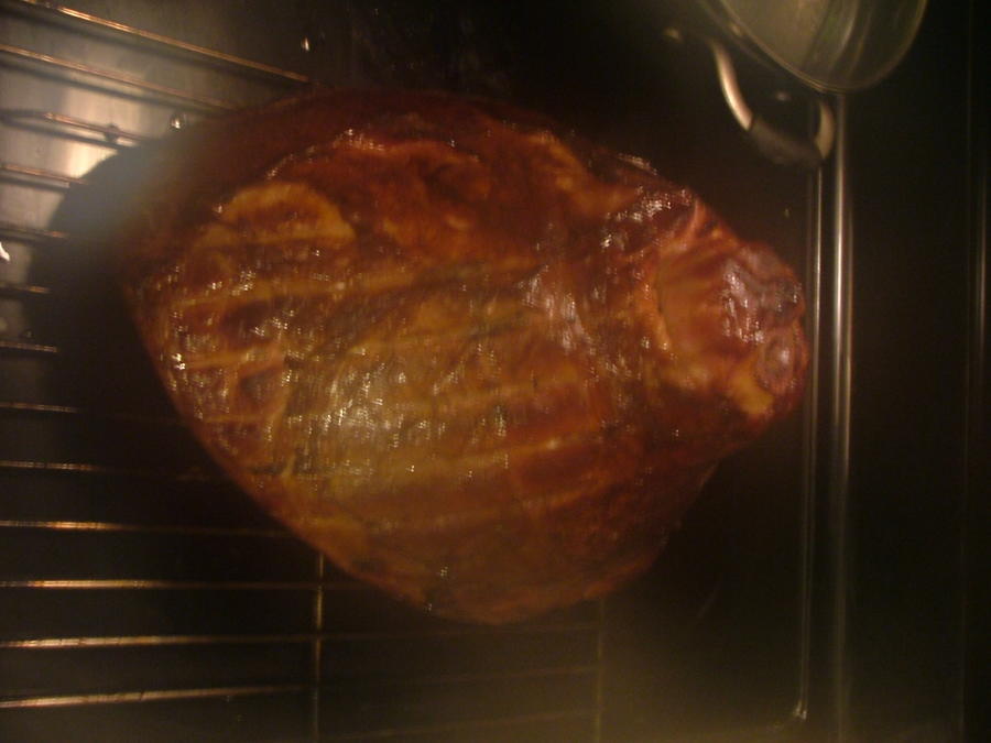 122111 ham5-6hrs.JPG
