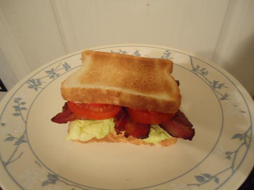 16blt.jpg