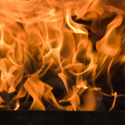 175x400px-LM-7c5d3ab0_avatar-130-6.jpg