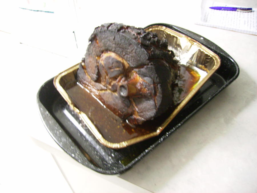 2-5-11 3.JPG