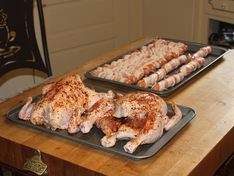 20-Chickens&Dogs-882010.JPG
