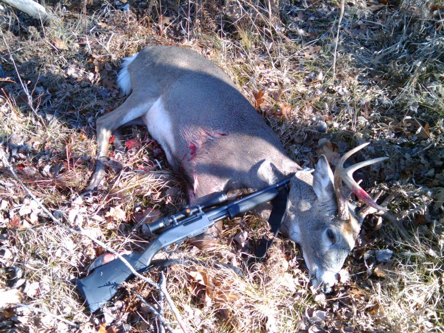 2009-11-07 13.12.05.jpg