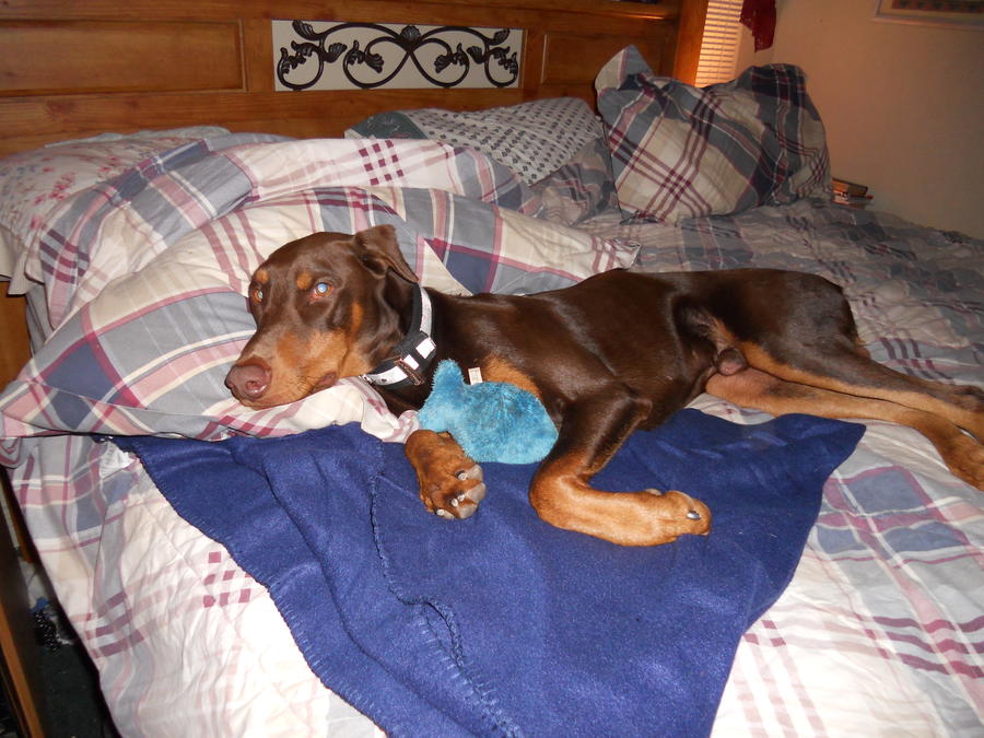 2010 018.jpg