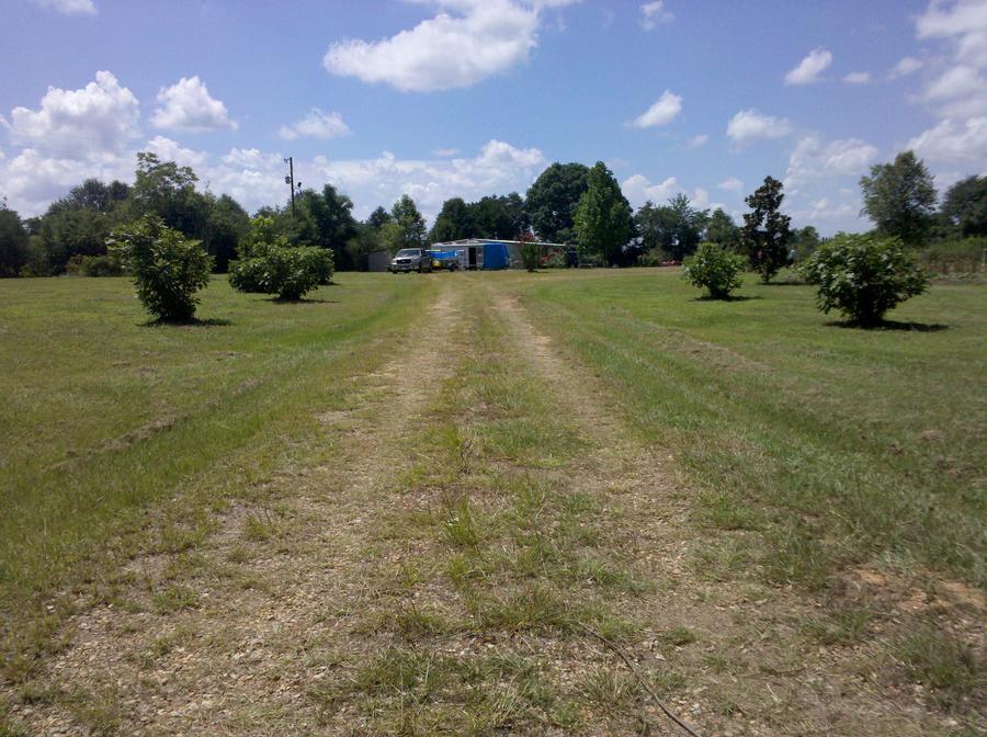2010-06-27 11.20.21.jpg