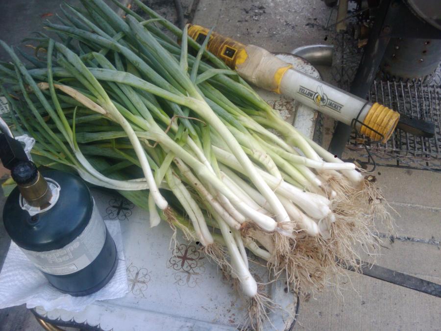 2010-09-19 18.04.59.jpg