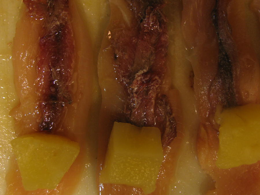 20100918702.jpg
