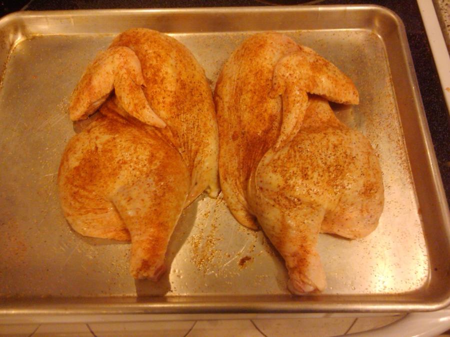 2011-01-16155830_Spring_Texas_US.jpg