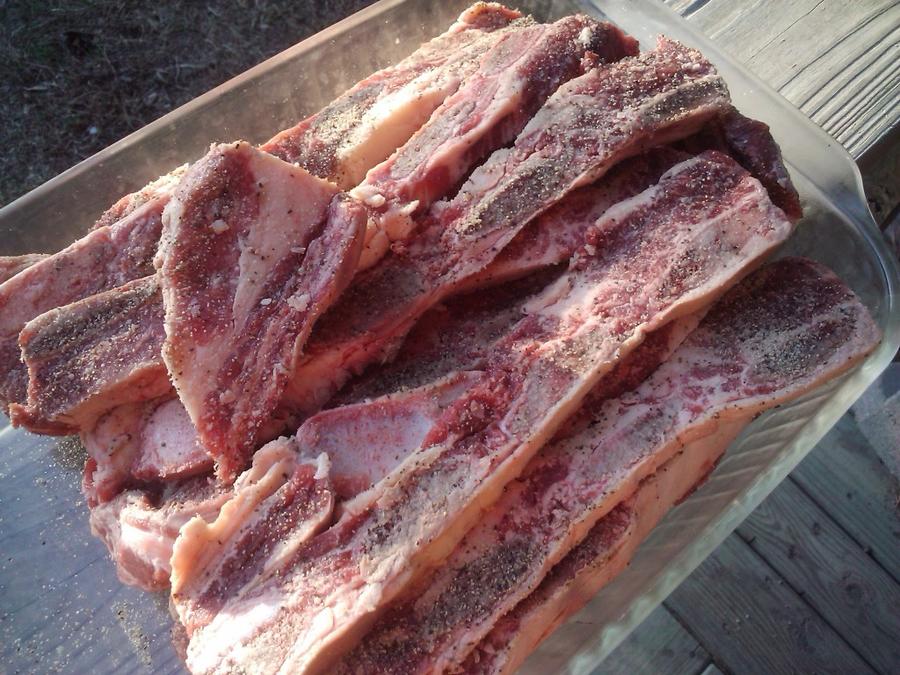 2011-01-30170202_Spring_Texas_US.jpg