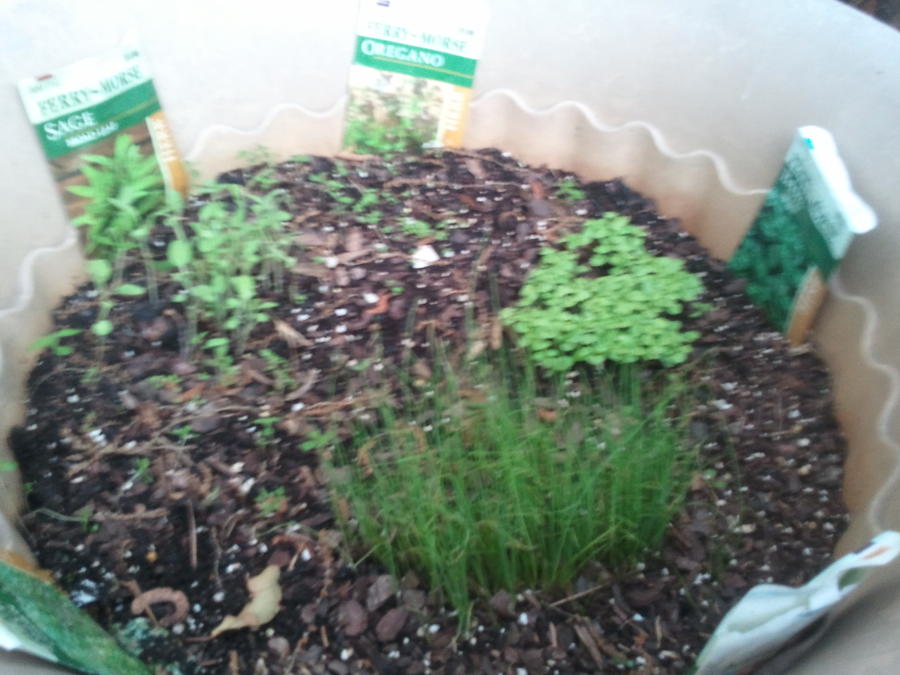 2011-05-13 13.37.43.jpg