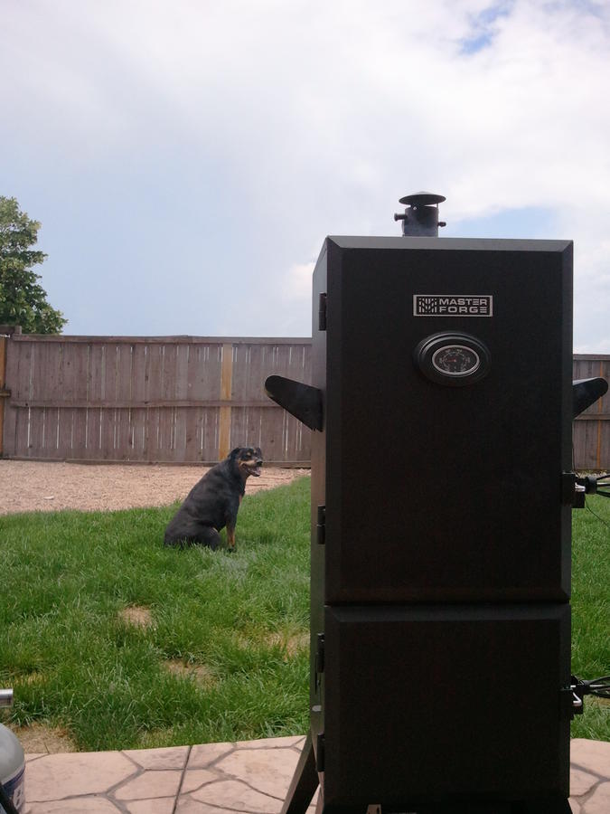 2011-07-02 13.40.52.jpg