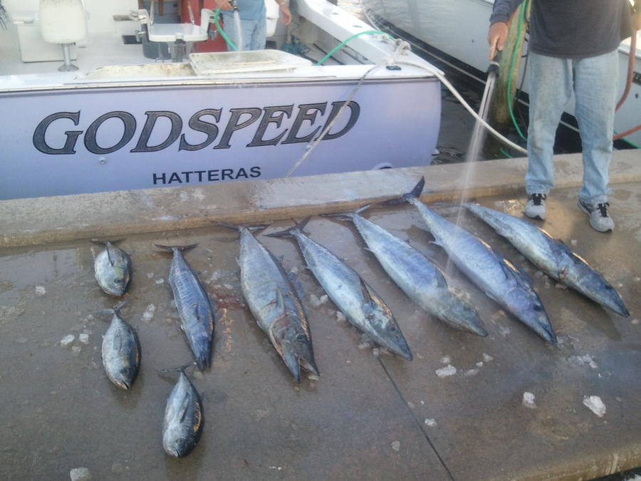 2011-11-03 17.19.30.jpg