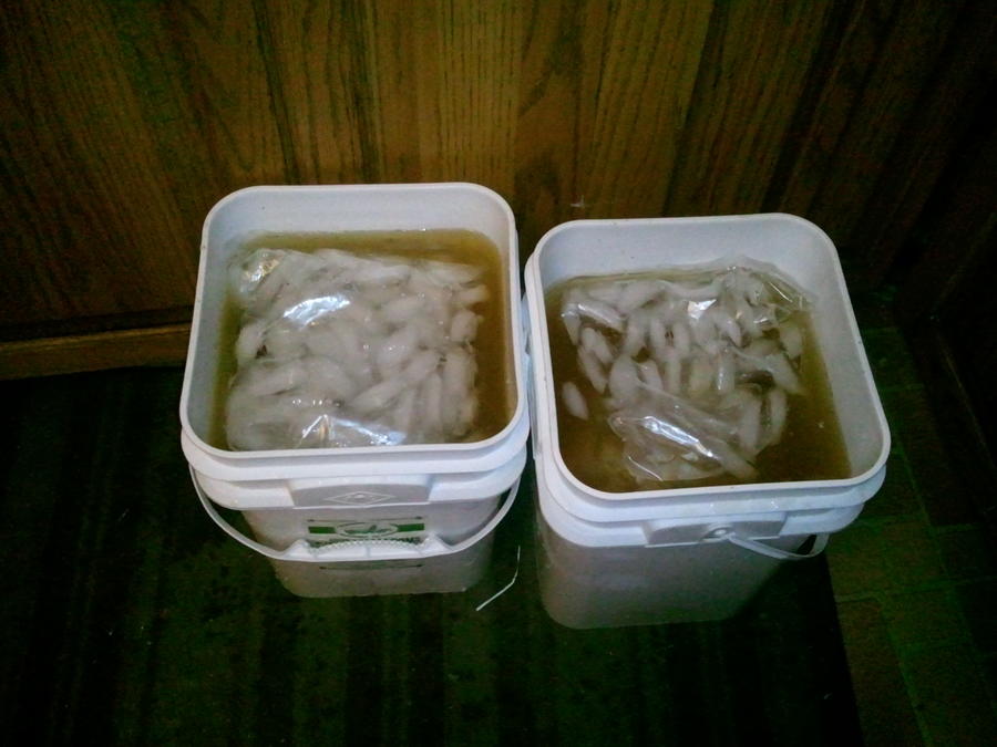 2011-11-22 11.34.47.jpg