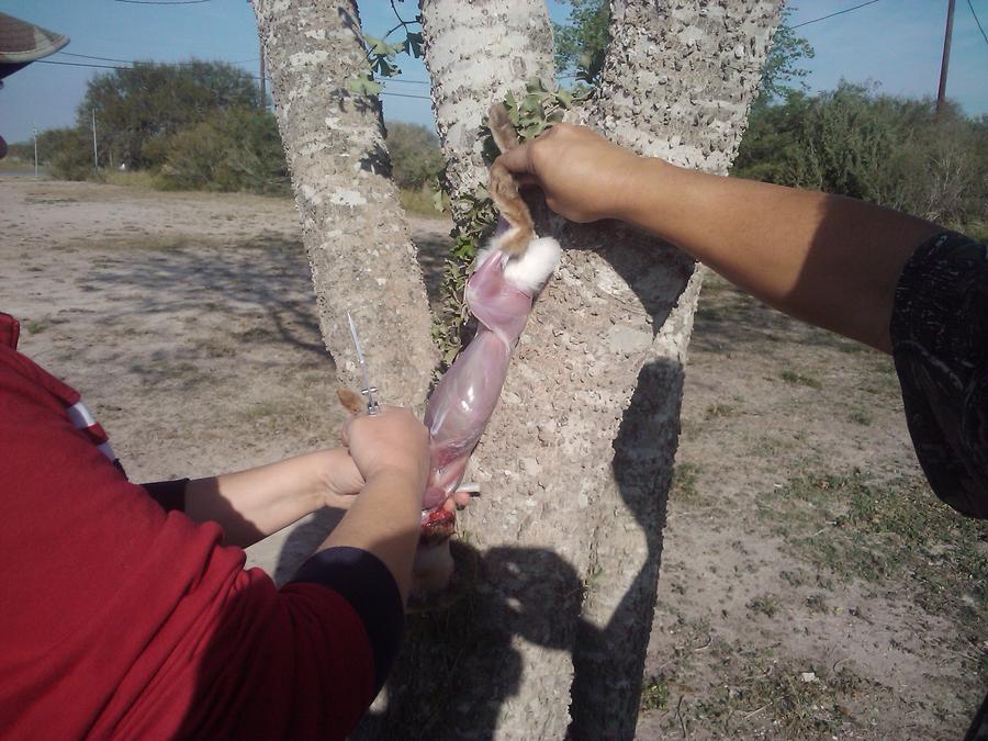 2011-11-25 09.20.50_San Diego_Texas_US.jpg