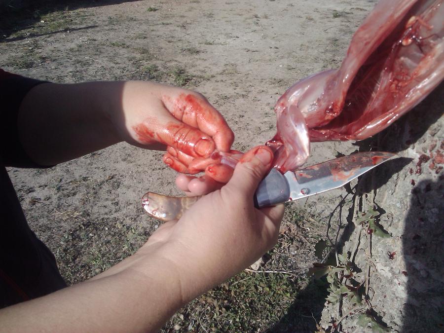 2011-11-25 09.24.03_San Diego_Texas_US-1.jpg