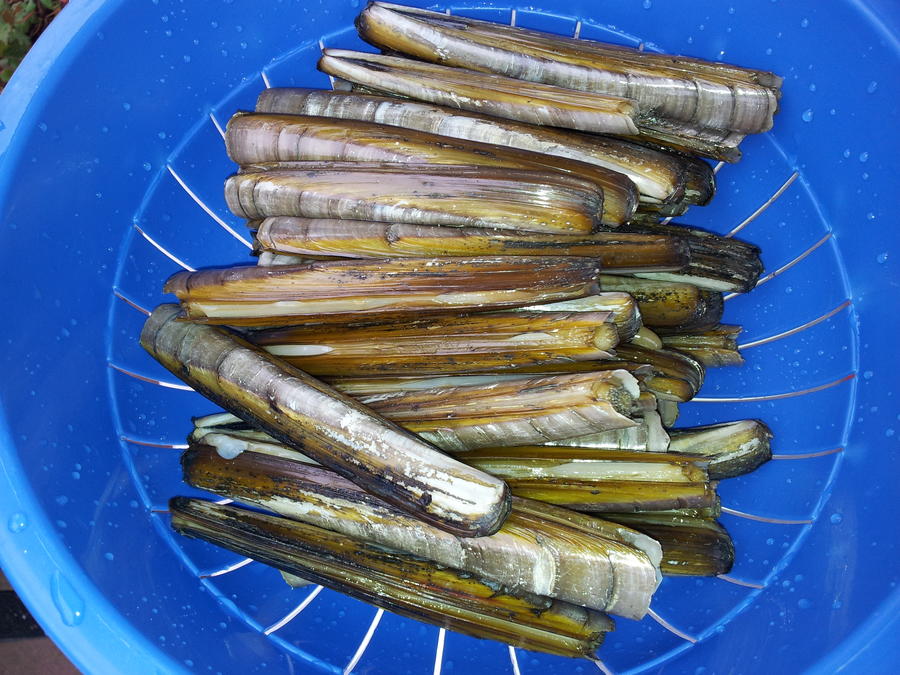 2011-12-10 11.40.00.jpg