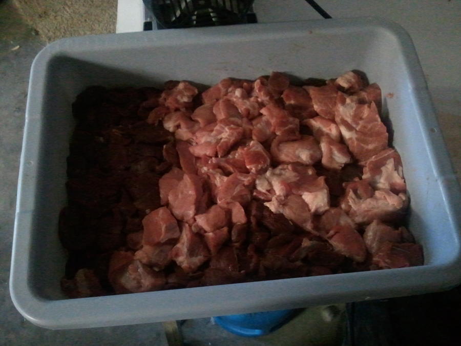 2011-12-10 13.49.48.jpg