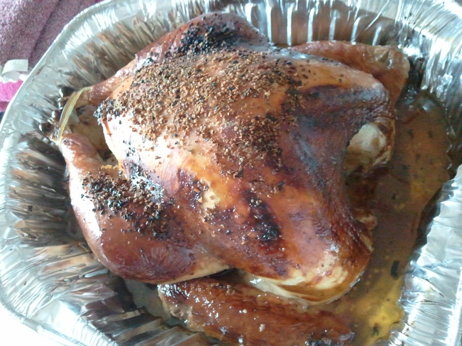 2011-12-19 first whole turkey.jpg