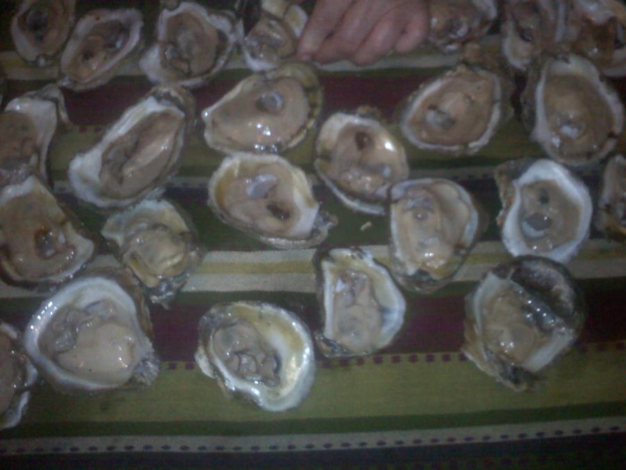 20111029203742.jpg