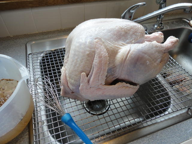 201111.JPG