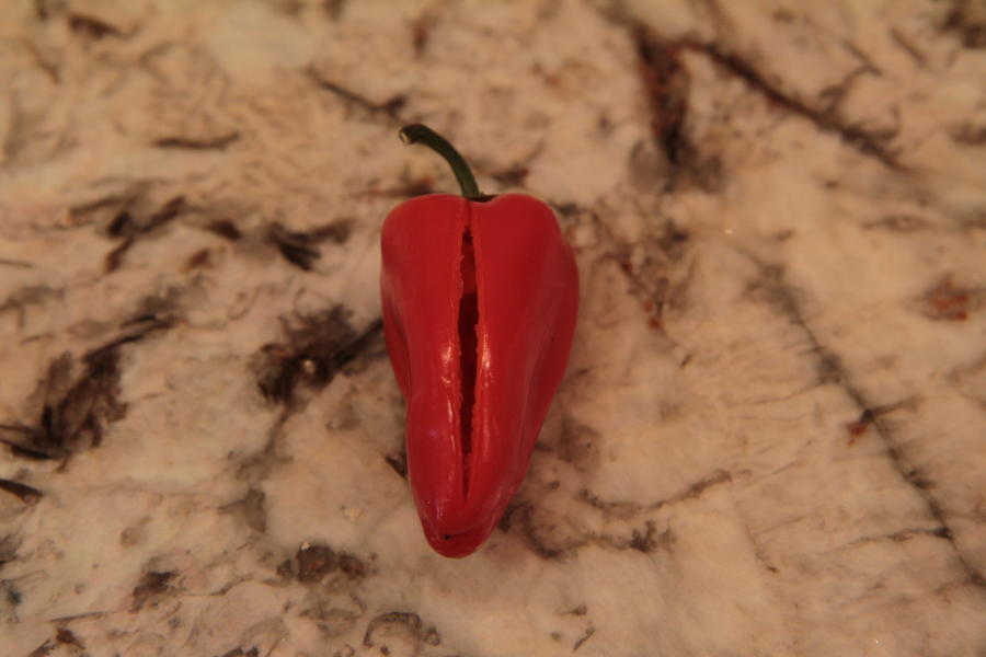 20111231496.JPG