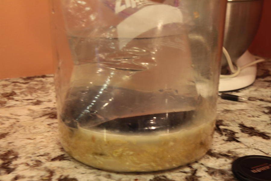 20111231732.JPG