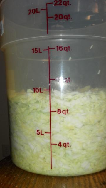 2012-01-07_20-41-55_675.jpg