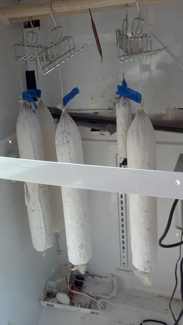 2012-01-15_11-31-42_979.jpg