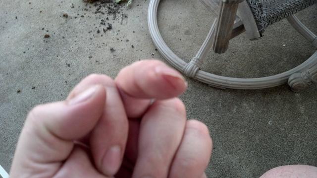2012-05-12_20-00-03_93.jpg