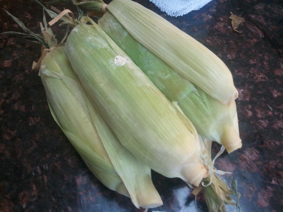 2012-06-09 11.26.12.jpg