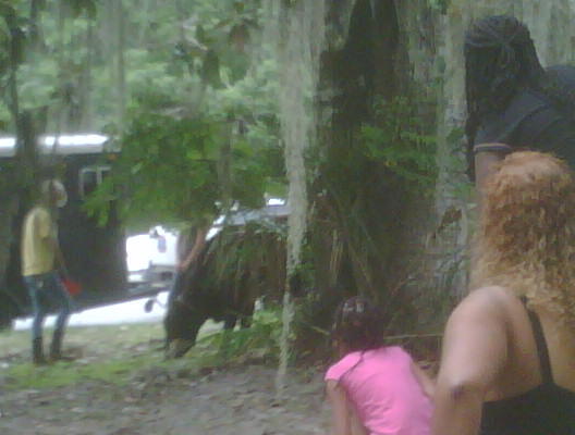 2012-06-15 16.44.40.jpg