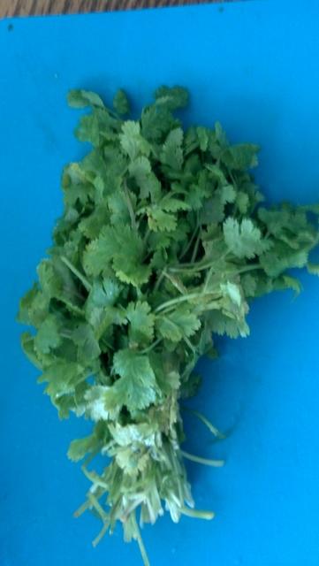 2012-07-08_13-23-51_550.jpg